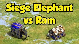 Siege Elephant vs Rams comparison