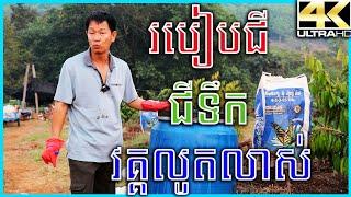 របៀបធ្វើជីទឹកវគ្គលូតលាស់ខ្លួនឯង / អាហារបម្រុងរុក្ខជាតិ / How to make liquid fertilizer