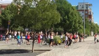 stockholmtoday free outdoor zumba class