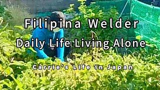 Filipina Welder Life in Japan/ Harvesting Sweet Potato/ Japanese Nitsuke/Internal Medicine #silent