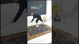 Oriental Rug Cleaning Part 1 | Short