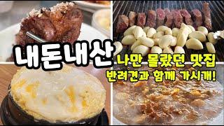 【내돈내산】 수도권 애견동반 식당, 카페 맛집 베스트 3