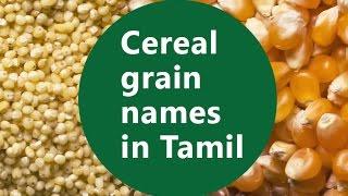 Basic Level - Part 3 - Cereal grain Names