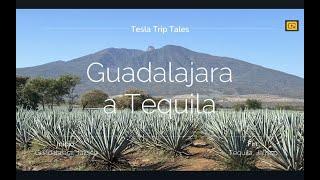 From Guadalajara to Tequila, Jalisco: Exploring the Agave Landscape