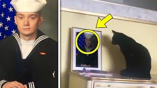 Black Cat Kept Staring At Marine Son’s Photo What Happens Next Went Completely Viral!