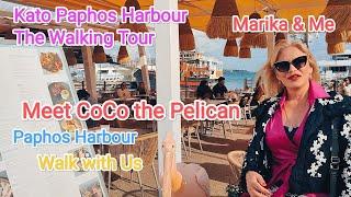 Paphos Harbour & The Pelican is doing a Runner.. Kato Paphos Harbour Cyprus