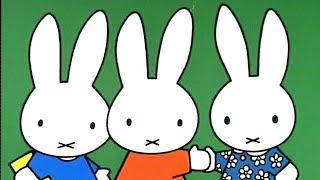 Miffy | It's Party Time! | Miffy's Birthday! | Miffy Classic | Full Episode Compilation