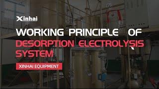 Working Principle of Desorption Electrolysis System|Xinhai, 2020