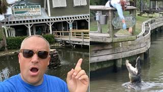 Alligator Adventure North Myrtle Beach | Gator Feeding | The King Of Crocs "U-TAN"