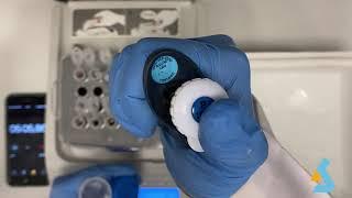 06 - Enzyme Kinetics of Horseradish Peroxidase