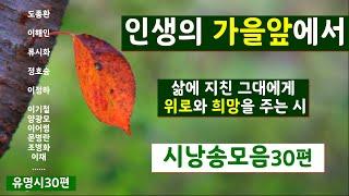 [시낭송모음]애송시모음#삶과인생 #위로와ㅣ희망의시30편 (낭송:봉경미/음악:손방원팬플룻)인생의 가을앞에서