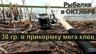 Рыбалка в Октябре. 30гр в прикормку и на 2 удочки не успеваю