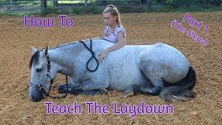 How To Teach Your Horse The ‘Laydown' (Part 1) No Ropes/No Force