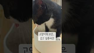 카페 영업부장님 검고가 사라졌습니다