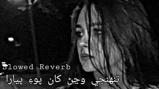 Fozia Soomro_ Tuhnje Wajar Kha Poye Piyara Slowed Reverb Sindhi Lofi song @SindhiLofi