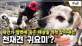 [Full] 한국기행 - 네가 있어 참 좋다 5부 오늘도 사랑할''개''