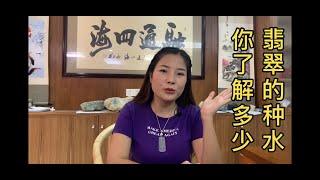 翡翠种水你了解 吗？｜缅甸 翡翠 玉 玉石 紫羅蘭 手鐲 玉鐲 手镯 首飾 玉观音 戒指 耳環 佛珠 串珠 墨翠 牌子 首饰 緬甸玉 玉器 珠寶 寶石 項鍊 手鍊 jewellery jade｜