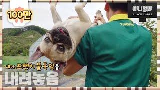 똥개가 되고 비로소 보이는 것들 2ㅣ똥개지오그래피 3화 강원 횡성 퓨전똥개 고기편 Rural Dog Geography EP4