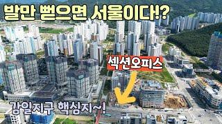 하남 감일지구에 사무실분양 필요하신가요??? 이정도면 그냥 서울이죠??? 송파, 강남 접근성 빼어난 감일지구 내 섹션오피스! 교통호재, 개발호재 가득