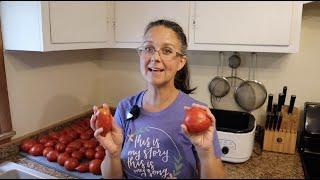 Easiest, Thickest PASTA SAUCE from the Garden!! Canning Your Homegrown  Pasta Sauce