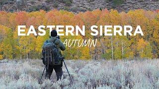 Fall Landscape Photography in the Eastern Sierra