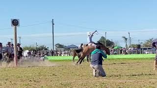 Denis Klein X Vassoura Tropilha Garrão de Ouro