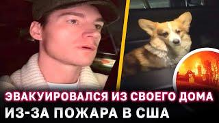 "Пытался его спасти" Алексей Воробьев эвакуировался из своего дома в Лос-Анажелесе из-за пожара