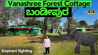 ONE NIGHT STAY in BANDIPURA - BANDIPURA FOREST COTTAGES - VANASHREE FOREST STAY - STAY in BANDIPURA