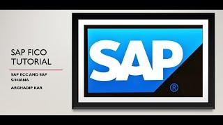 SAP FICO:SAP Change Font size to see more stuff
