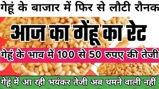 आज गेहूं में फिर से आई तेजी । Today Gehun Price । Gehun Price Today । Aaj Ka Gehun Ka Bhav ।