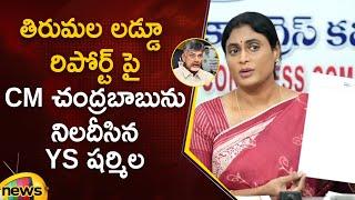 YS Sharmila Questions CM Chandrababu About Tirupati Laddu Lab Report | TTD | Tirumala | AP Politics