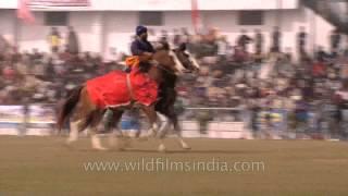 Kila Raipur Sports Festival in Punjab