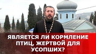 Является ли кормление птиц жертвой для усопших? Священник Игорь Сильченков