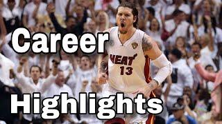 Mike Miller Career Highlights