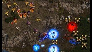 Larva!  (Z) vs Snow!  (P) on Polypoid - StarCraft - Brood War - 2024