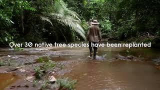 Signify enables carbon offsetting projects (1 minute)