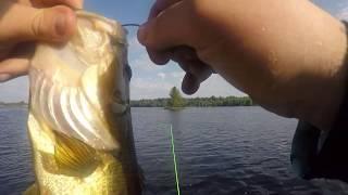 First Time Fishing Deer Rock Lake Ontario