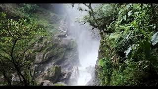 BAÑOS MAGNÍFICO - DAVID FILMMAKER