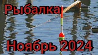 Рыбалка на поплавок 10-ноября 2024 г.Дикая рыбалка на реке в ЭКСТРЕМАЛЬНУЮ не погоду!