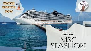 MSC Seashore Cruise Ship | Tour Part 1   4K