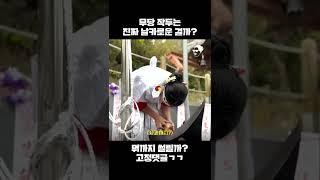 무당 작두에는 뭐까지 잘릴까? (시청주의)