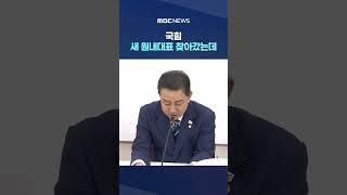 "법사·예결위 달라" 그러자... #Shorts (MBC뉴스)