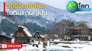 สารคดีโลกหลากมิติ ซาโตะยามะ นีงาตะ ตอน วิถีชีวิตกับหิมะในญี่ปุ่น | สารคดี สารคดีสัตว์โลก