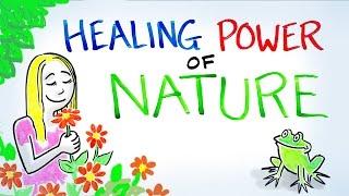 The Healing Power of Nature!