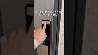 한결같은 며루치의 퇴근길 ,, #웰시코기 #분리불안