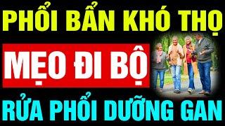 Rốt Cuộc: ĐI BỘ KIỂU NÀO GIÚP SẠCH PHỔI DƯỠNG GAN THẬN Để Cả Đời Sống Khỏe Ngủ Ngon Tới Sáng?