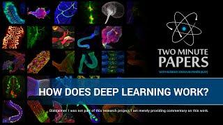 How Does Deep Learning Work? | Two Minute Papers #24