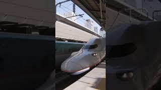 Shinkansen bullet train double decker #shorts