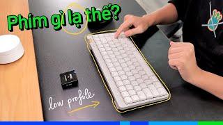 Bàn phím Lofree Flow Lite: Low-profile, gõ cực hay. Nhưng chọn cẩn thận!! | ThinkView Smarthub #3