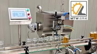 MTW  automatic   1 head servo motor  piston pump filler filling machine